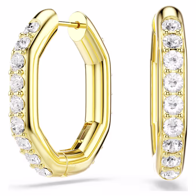 Dextera hoop earrings